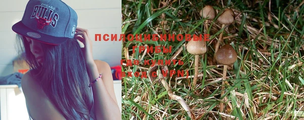 ECSTASY Абдулино
