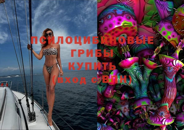 трава Абаза