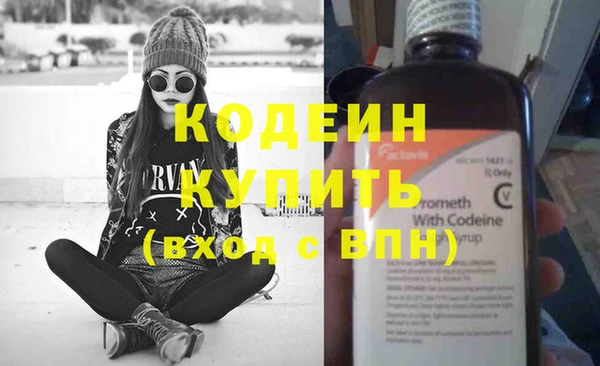 индика Михайлов