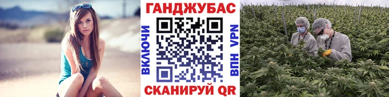 Каннабис план  Урус-Мартан 